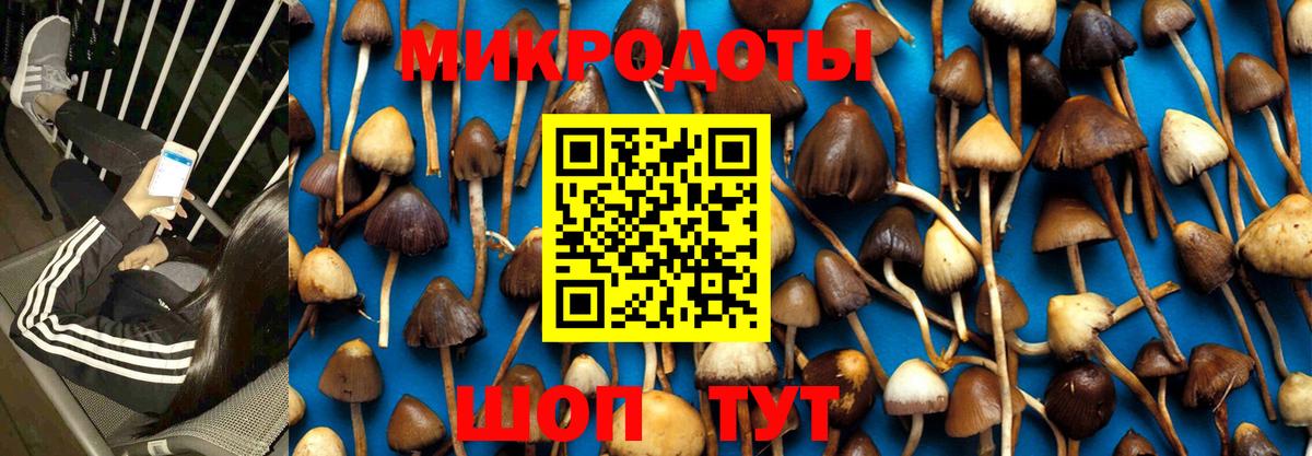 Богданович  Псилоцибиновые грибы мухоморы  Вход с VPN 